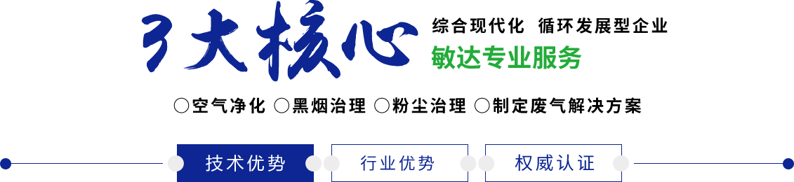 日屄高潮视频敏达环保科技（嘉兴）有限公司